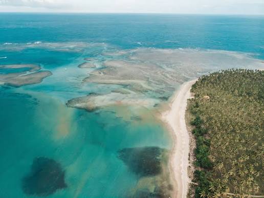 Passeio Volta a Ilha de Boipeba